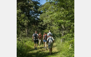 Randonnée pédestre